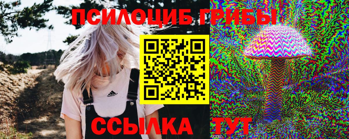 Гулькевичи  Галлюциногенные грибы Magic Shrooms  Вход с VPN 
