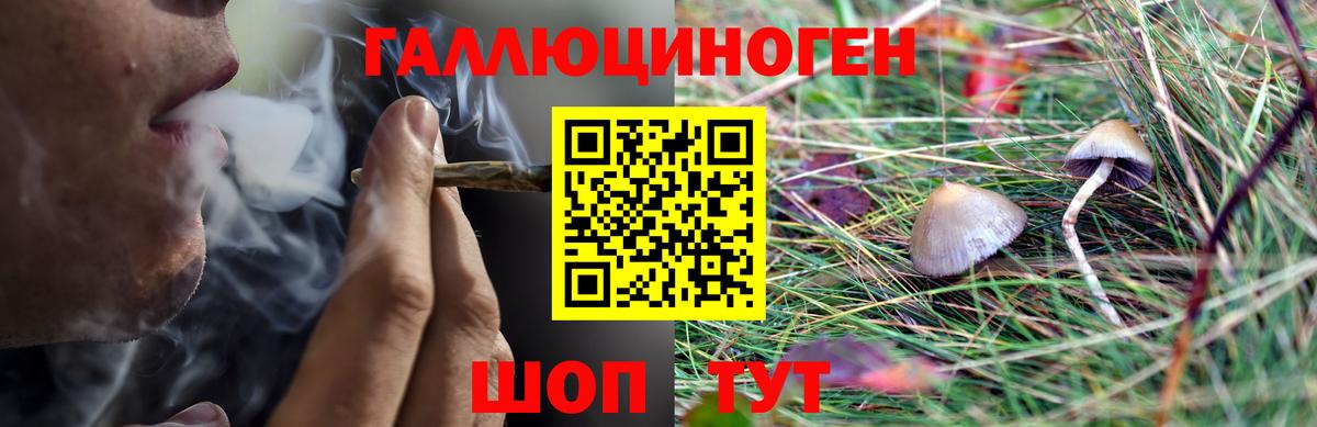 Псилоцибиновые грибы мицелий Гулькевичи